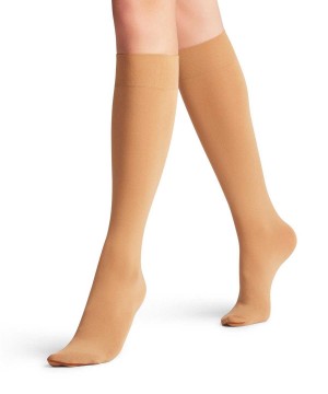 Dámské Ponožky Falke Seidenglatt 40 DEN Knee-high Socks Béžový | 4015JGKMA