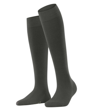 Dámské Ponožky Falke Softmerino Knee-high Socks Zelene | 1498QUWTL