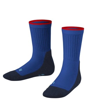 Dětské Ponožky Falke Active Everyday Socks Blankyt | 4703TSHDL