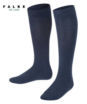 Dětské Ponožky Falke Family Knee-high Socks Blankyt | 6721DWBGE