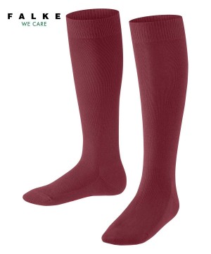 Dětské Ponožky Falke Family Knee-high Socks Červené | 8631QRAUY