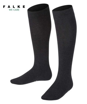 Dětské Ponožky Falke Family Knee-high Socks Šedé | 8701JNLKX