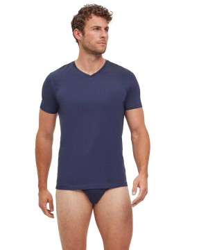 Pánské Košile S Krátkým Rukávem Falke 2-Pack T-Shirt V-neck Daily Comfort Šedé | 0561QXKIR