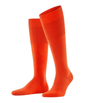 Pánské Ponožky Falke Airport Knee-high Socks Oranžové | 7185AGNFT