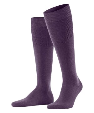 Pánské Ponožky Falke Airport Knee-high Socks Blankyt | 2640OYRID