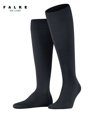 Pánské Ponožky Falke ClimaWool Knee-high Socks Blankyt | 8764NDTBV