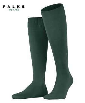 Pánské Ponožky Falke ClimaWool Knee-high Socks Zelene | 6385IXRMZ