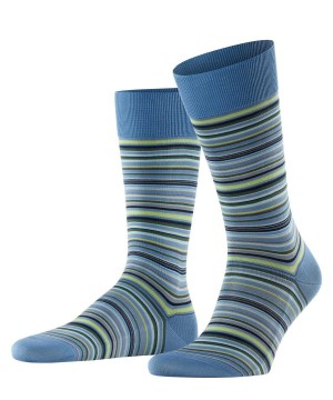 Pánské Ponožky Falke Microblock Socks Blankyt | 7469URHXL