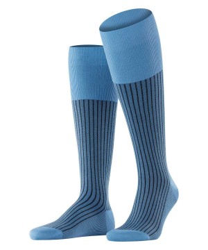 Pánské Ponožky Falke Oxford Stripe Knee-high Socks Blankyt | 2460HSKLV