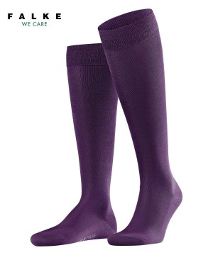 Pánské Ponožky Falke Tiago Knee-high Socks Blankyt | 9134NGIFZ