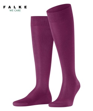 Pánské Ponožky Falke Tiago Knee-high Socks Fialové | 4321XEDKU