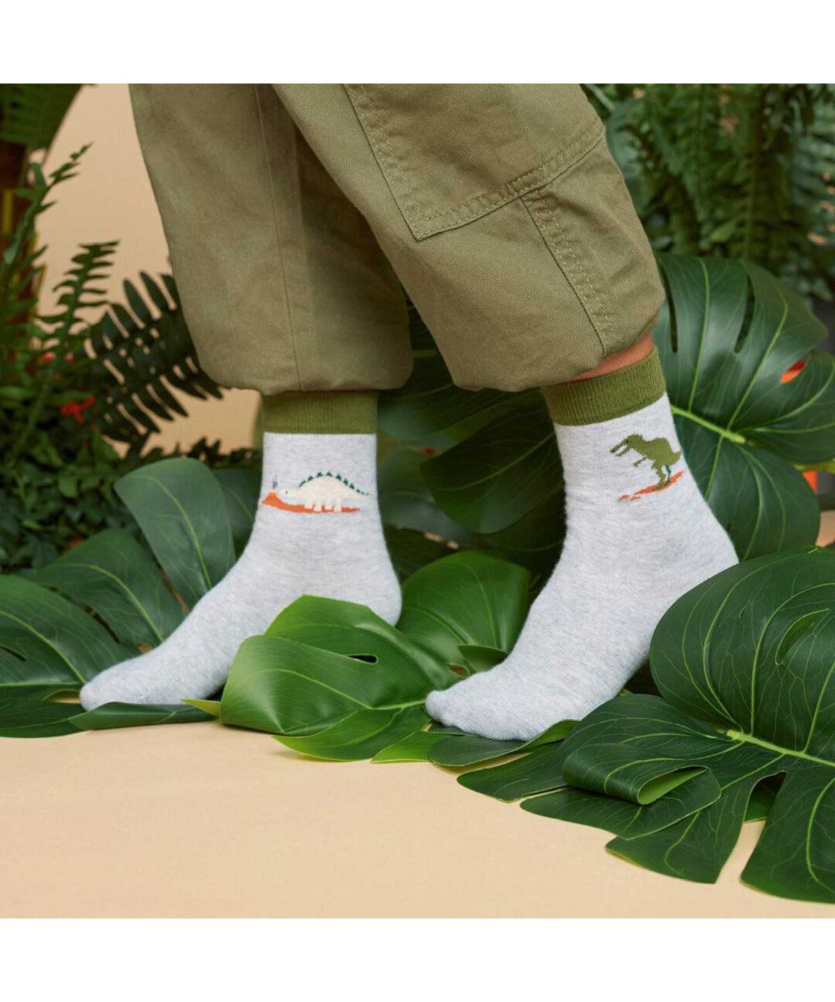 Dětské Ponožky Falke Dinosaurs Socks Šedé | 7894BFVTI