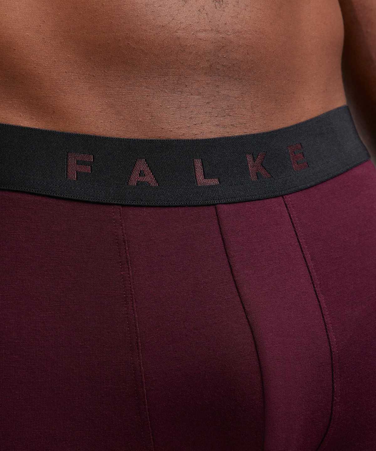 Pánské Boxer & Slips Falke 2-Pack Boxer Daily Comfort Multicolored | 6478WNUIT