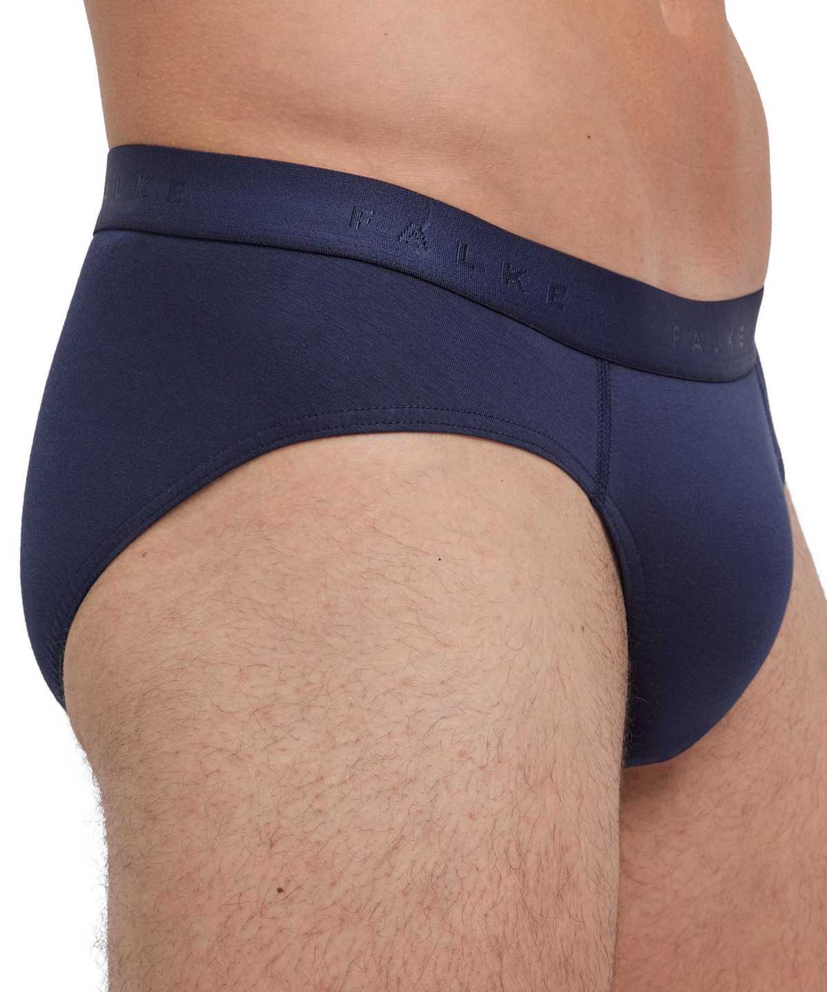 Pánské Boxer & Slips Falke 2-Pack Slip Daily Comfort Šedé | 5324ZVOWH