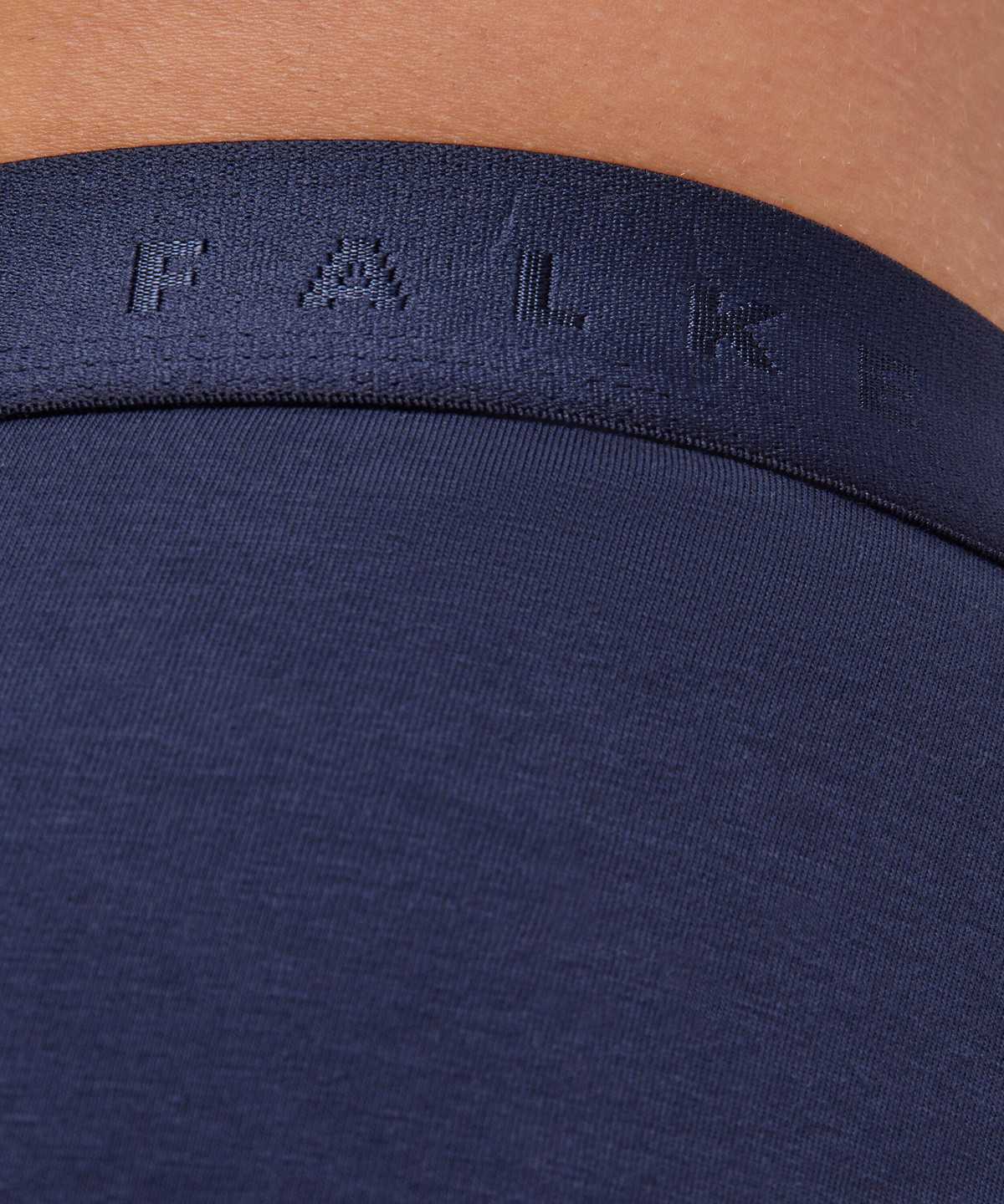 Pánské Boxer & Slips Falke 2-Pack Slip Daily Comfort Šedé | 5324ZVOWH