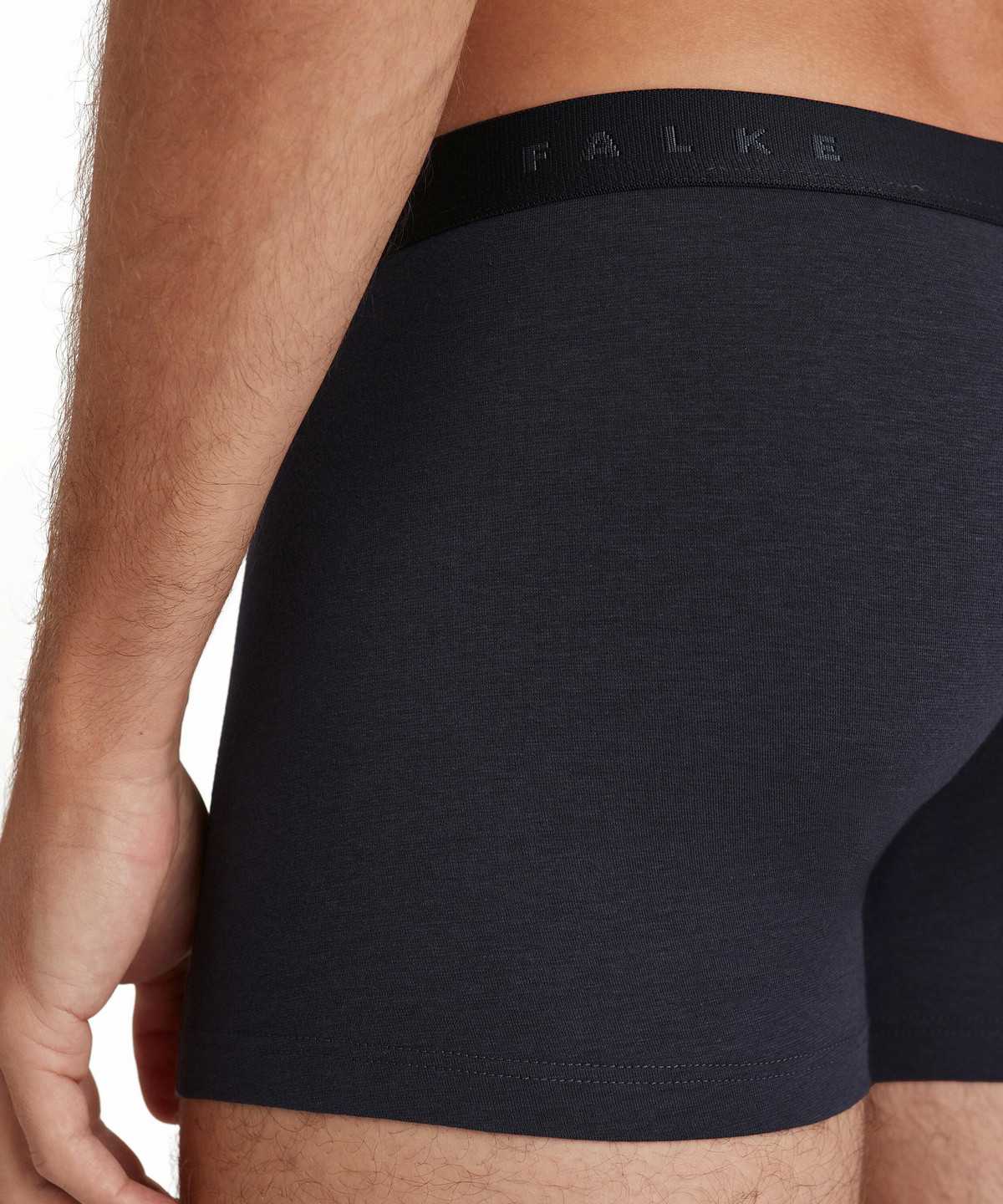 Pánské Boxer & Slips Falke Boxer Daily Climate Control Šedé | 6154JGEIO