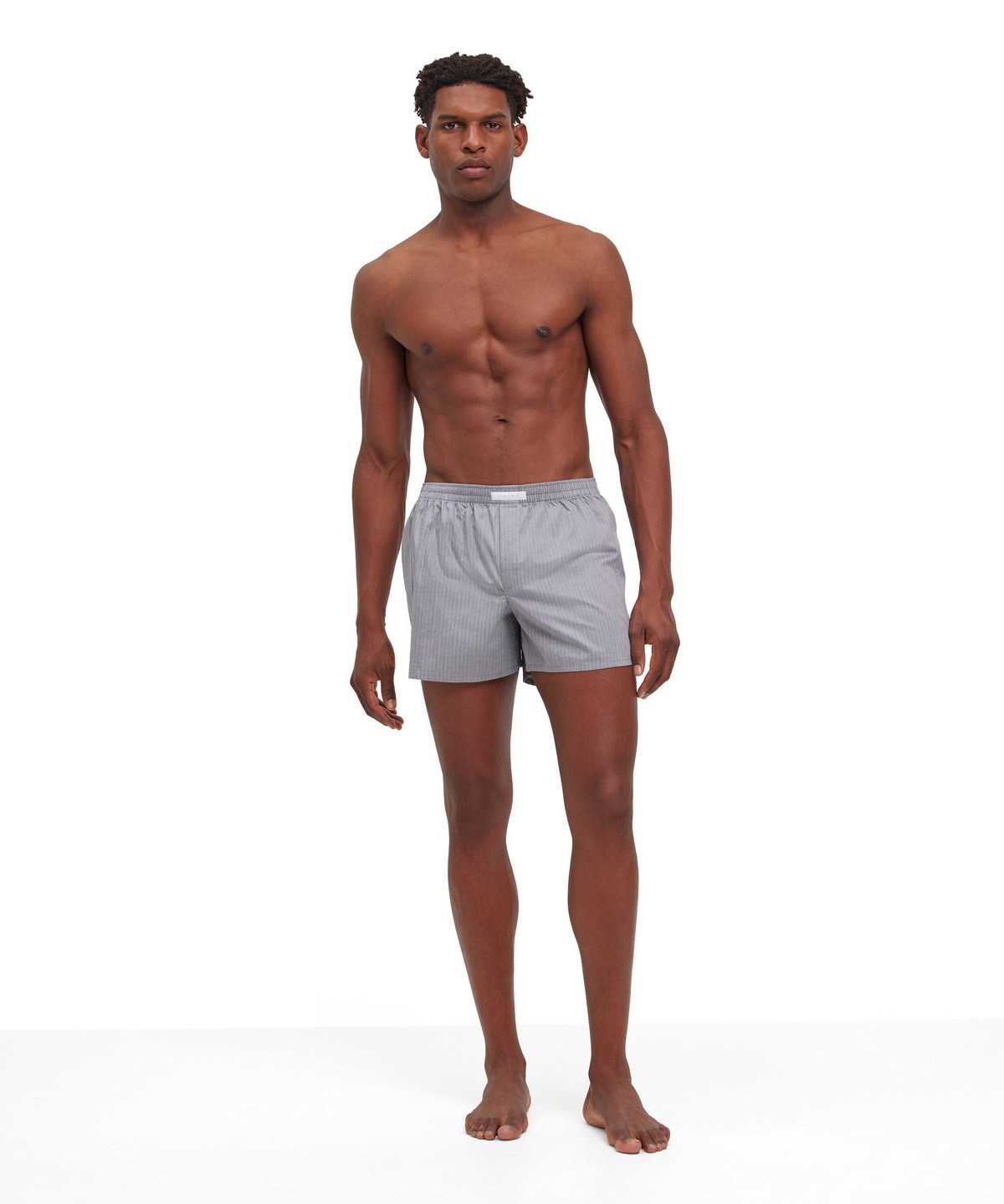 Pánské Boxer & Slips Falke Boxer Šedé | 5864RVSAD