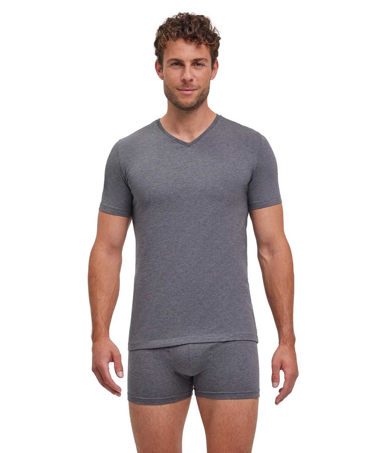 Pánské Košile S Krátkým Rukávem Falke 2-Pack T-Shirt V-neck Daily Comfort Šedé | 6205OIUAZ