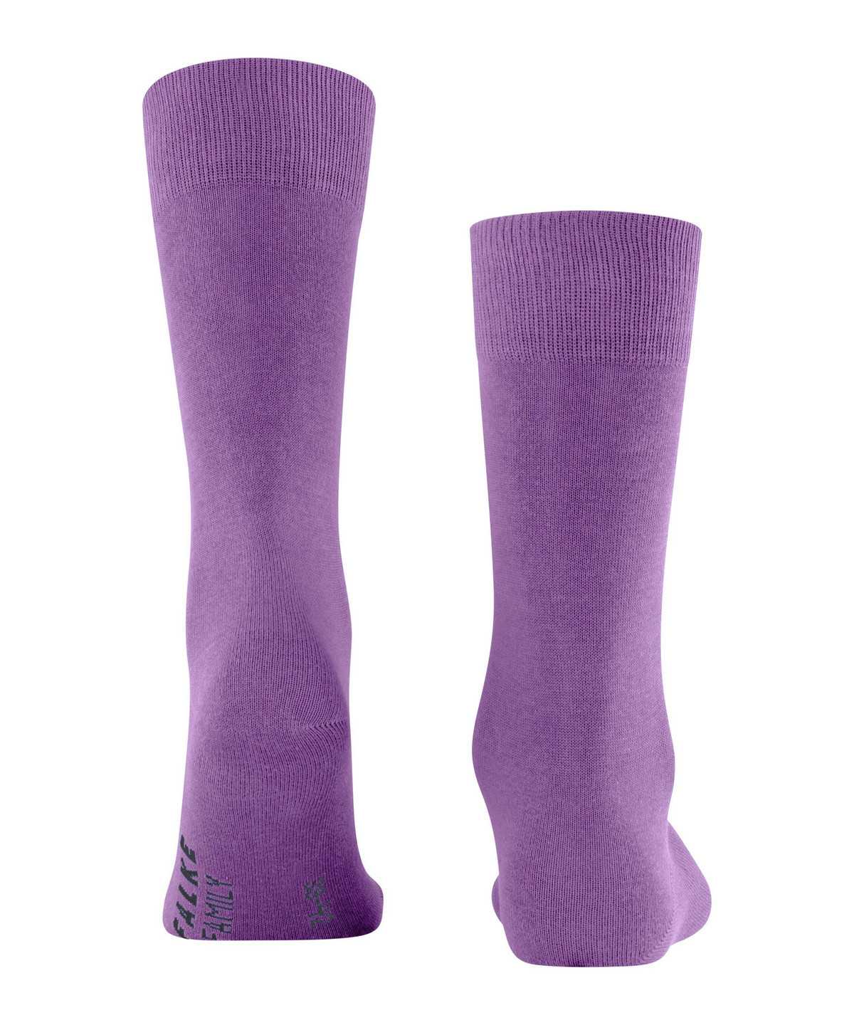 Pánské Ponožky Falke Family Socks Fialové | 9361YSXCT