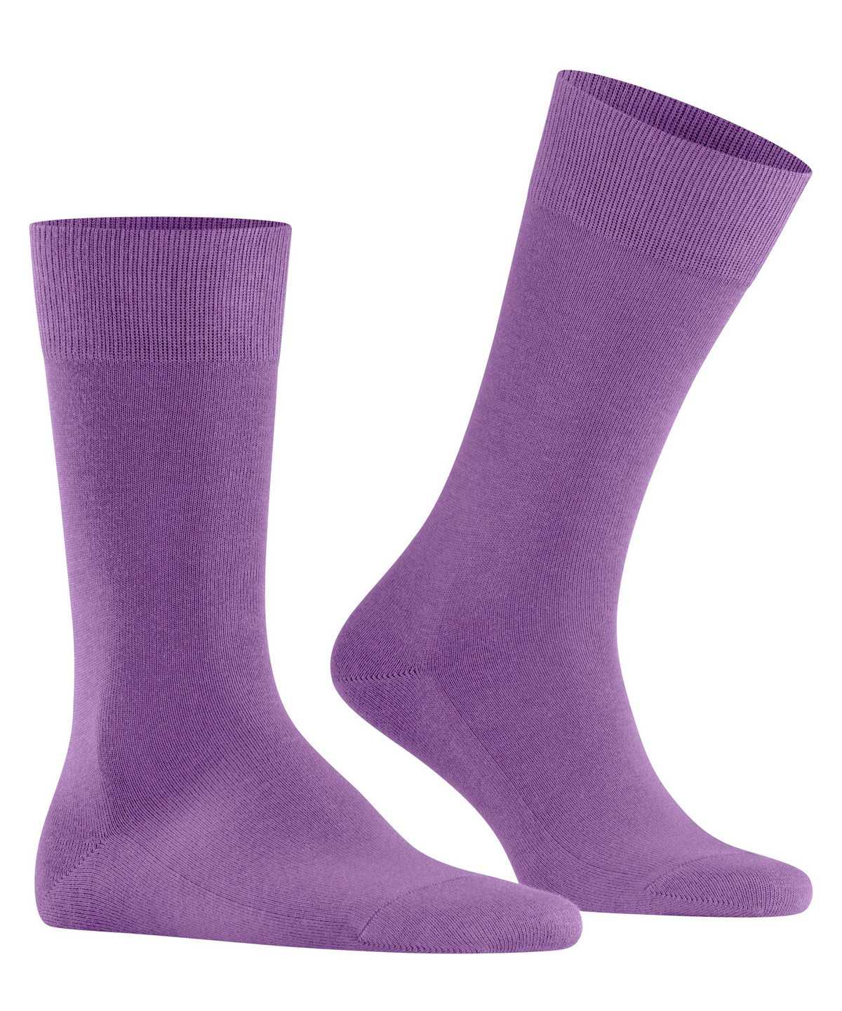 Pánské Ponožky Falke Family Socks Fialové | 9361YSXCT