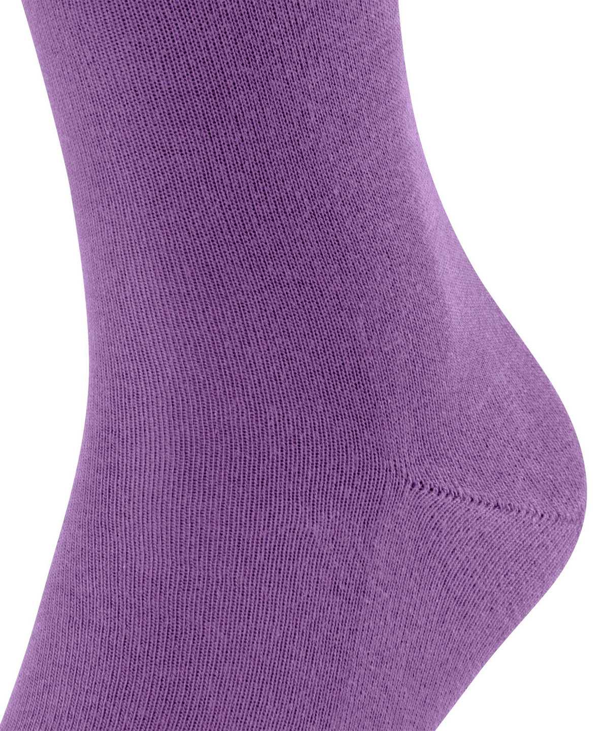 Pánské Ponožky Falke Family Socks Fialové | 9361YSXCT